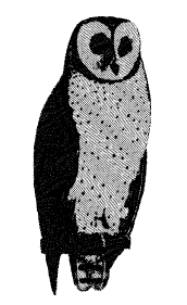 Ilustración de La Lechuza